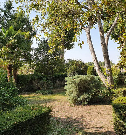 entretien jardins  dans le Loir-et-Cher